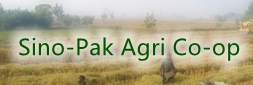 China-Pakistan Agricultural Cooperation
