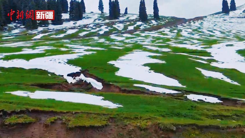 新疆木垒：雪落山林 风景如画