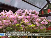 四月芳菲杜鹃红 无锡市花节正式开幕