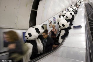 风靡全球的熊猫热
