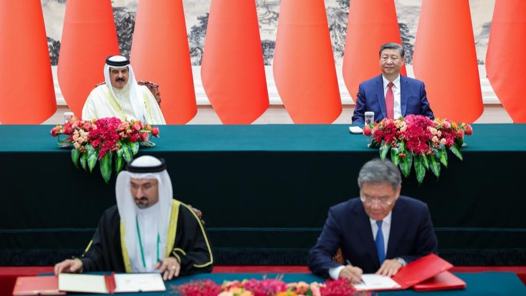 China, Bahrain establish comprehensive strategic partnership