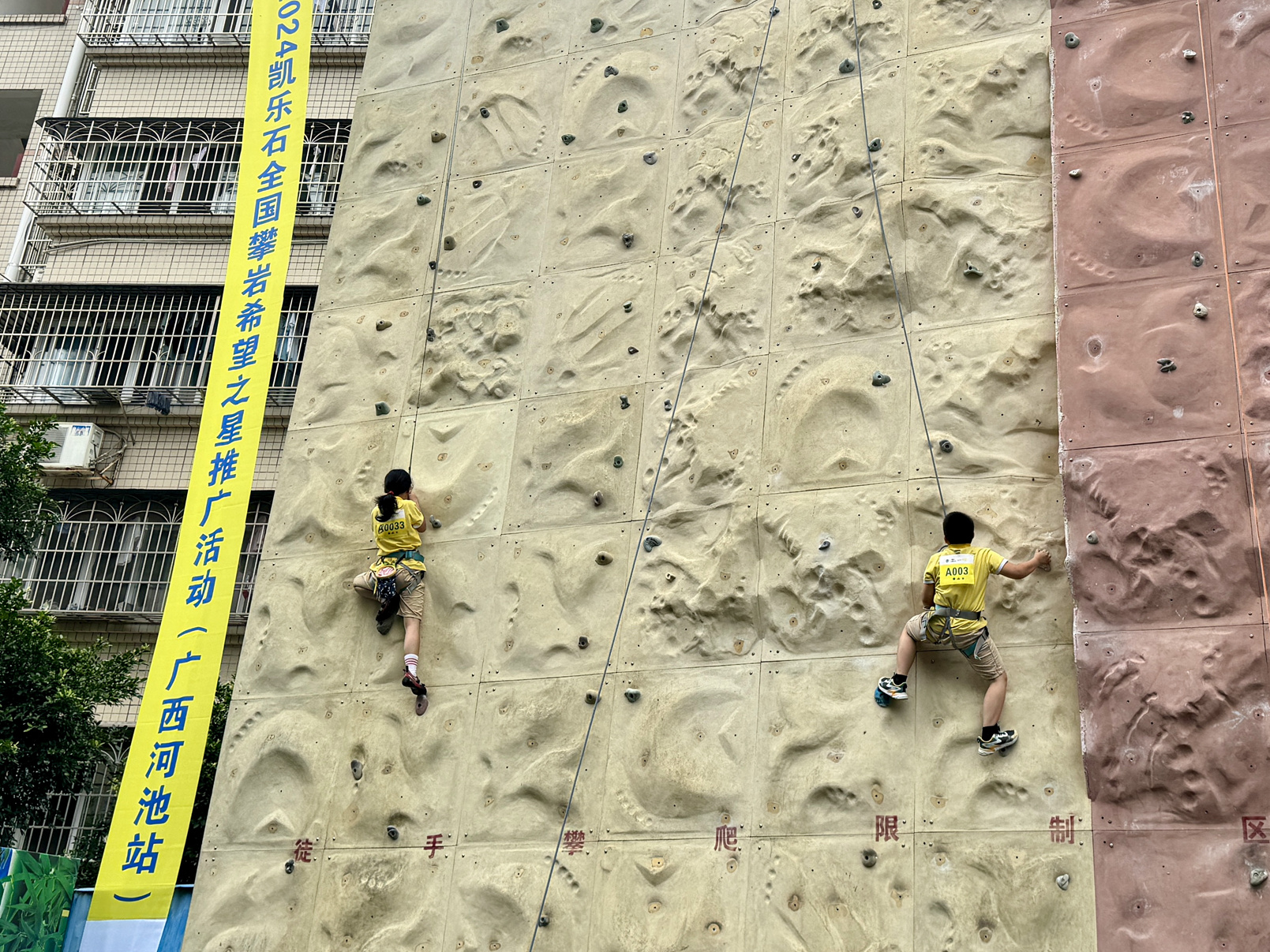 2024“攀登吧 少年”凯乐石全国攀岩之星活动在金六小举行