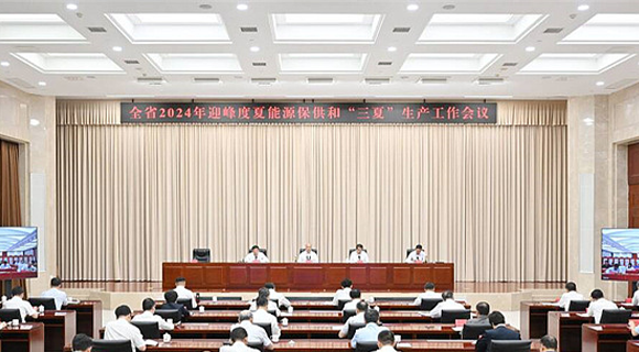 河北省2024年迎峰度夏能源保供和“三夏”生产工作会议召开