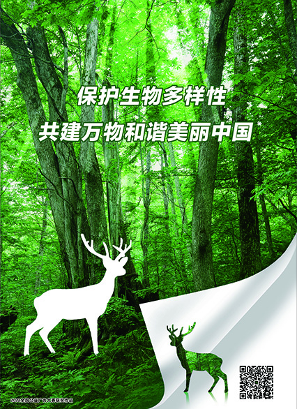 保护生物多样性 共建万物和谐美丽中国1
