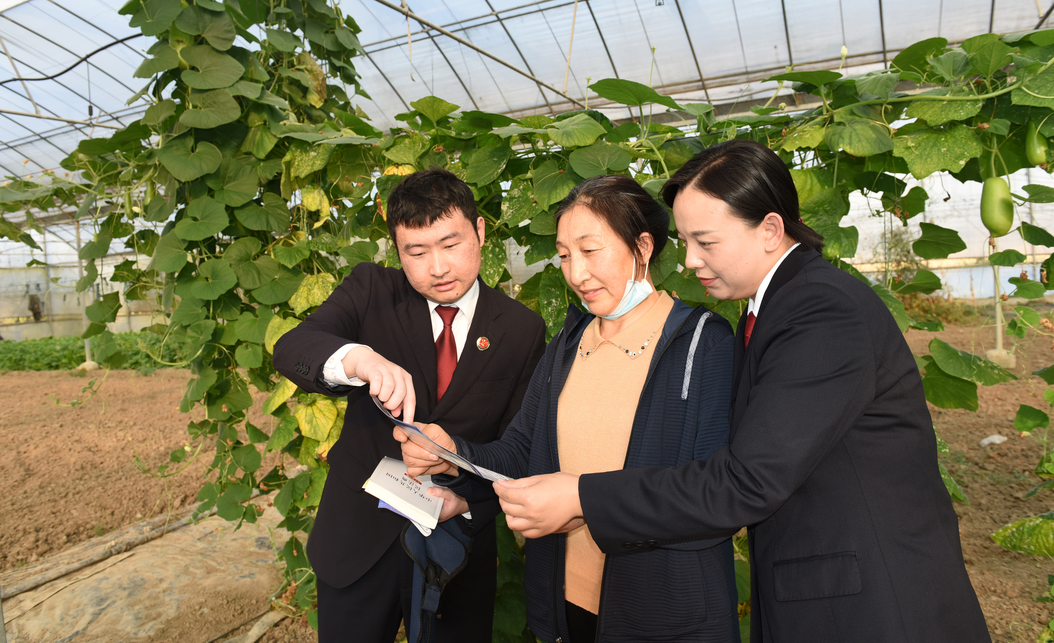金湖县检察官在蔬菜种植专业户大棚内宣传法律知识