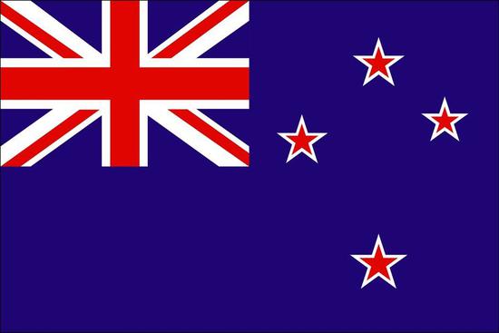 新西兰五年多次旅游签证(专家审核材料+签证专家1对1办签指导+全国办理+免邮材料)