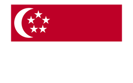 新加坡旅游签证(专家审核材料+签证专家1对1办签指导+全国办理+免邮材料)