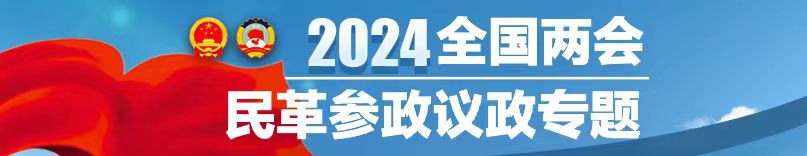 2024全国两会民革参政议政专题