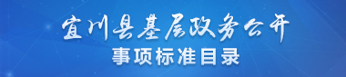宜川县基层政务公开事项标准目录