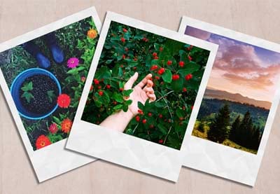 How to Make a Polaroid Template in Photoshop
