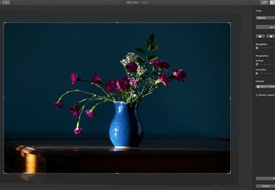 How to Crop and Resize a Photo in Pixelmator Pro