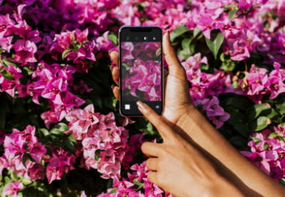 It's OK to Use Phone Cameras for Professional Photography