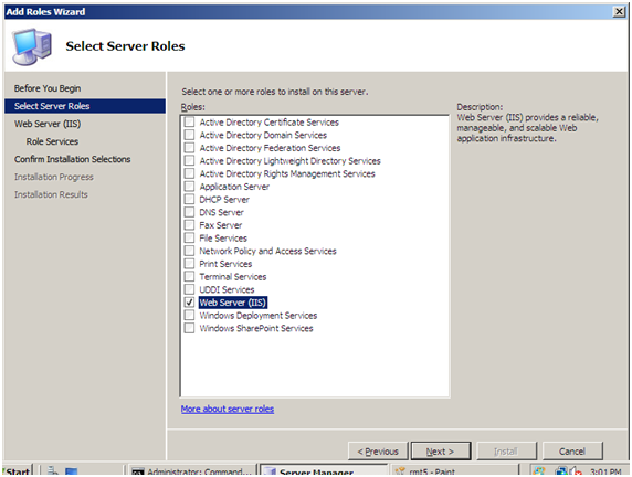 Screenshot of the Add Roles Wizard Select Server Roles page. Web Server I I S is highlighted and selected in the list.